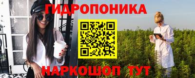 Альфа ПВП Дубна