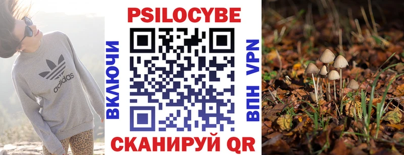 Галлюциногенные грибы Magic Shrooms  Славгород 