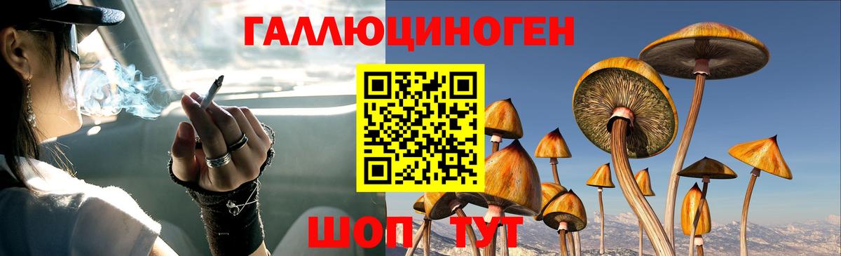 Галлюциногенные грибы MAGIC MUSHROOMS  Галлюциногенные грибы мицелий  Вход с VPN  Славгород 